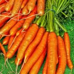 Coin potager sur bton sans excavation