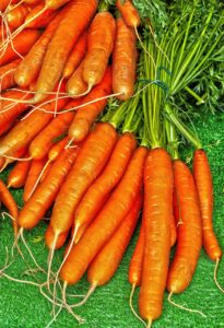 Coin potager sur bton sans excavation