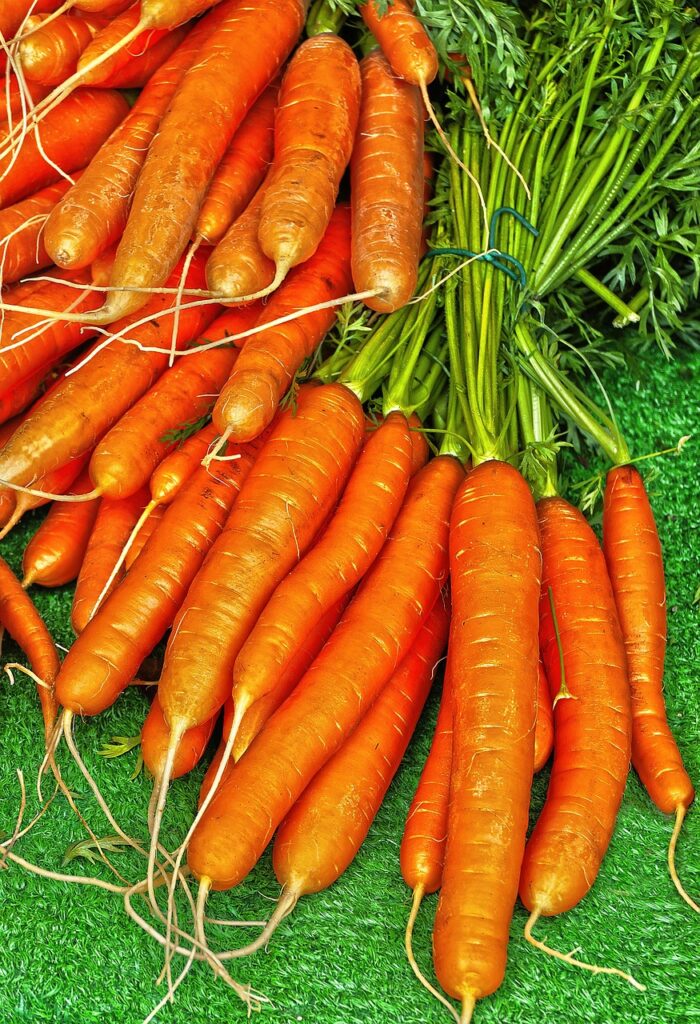 Coin potager sur bton sans excavation