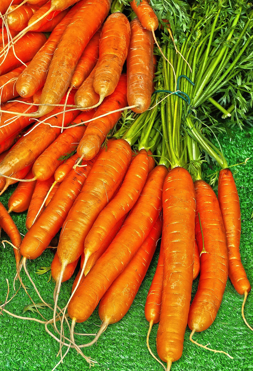 Coin potager sur bton sans excavation
