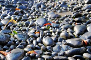 Cloture rigide sur terrain en pente sans beton